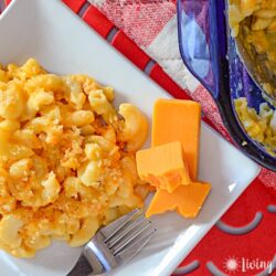 homemade macaroni and cheese on plate